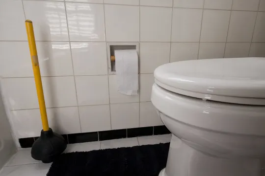 plunger