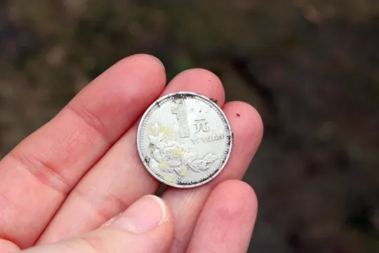 coin 2