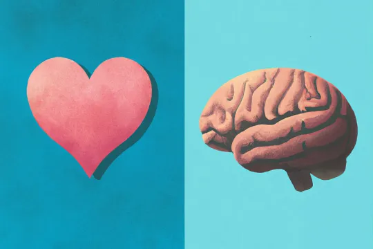 heart and brain