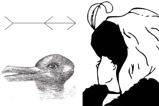 optical illusions
