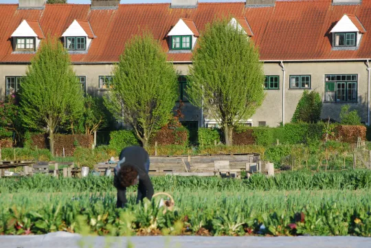Als project van stedelijke landbouw verenigt de boerderij van de Chant des Cailles professionele landbouwers met burgers die een collectieve moestuin onderhouden.