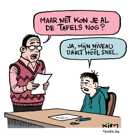 niveau leerlingen
