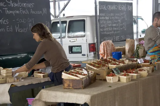 farmers market
