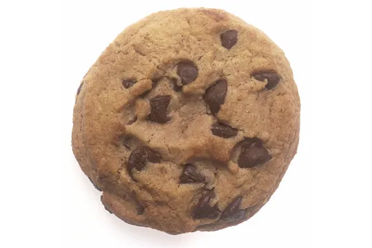 biscuit