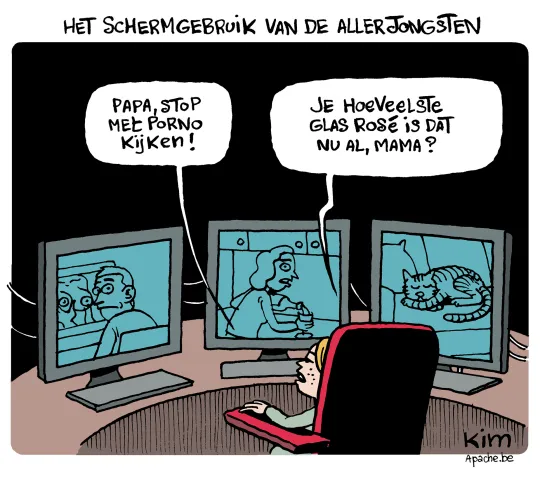 Schermgebruik
