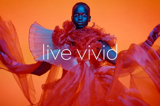 live vivid