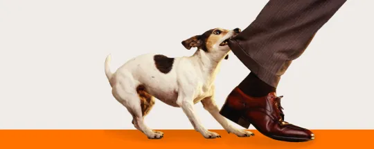 Doneer een waakhond aan de democratie