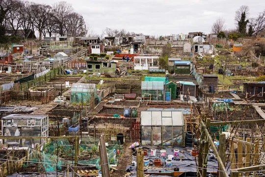 allotments