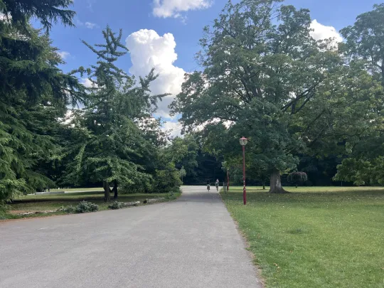 verhard pad door het park
