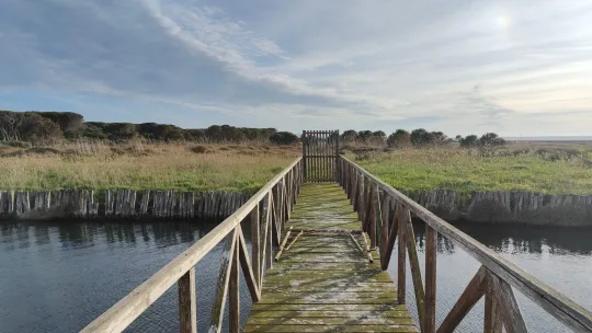 De Wetlands van Maristanis