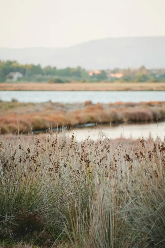 Wetlands in het zuiden van Sardinië