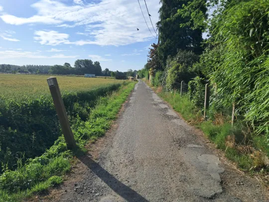 Verhard wandelpad Beekweg, in Aalst