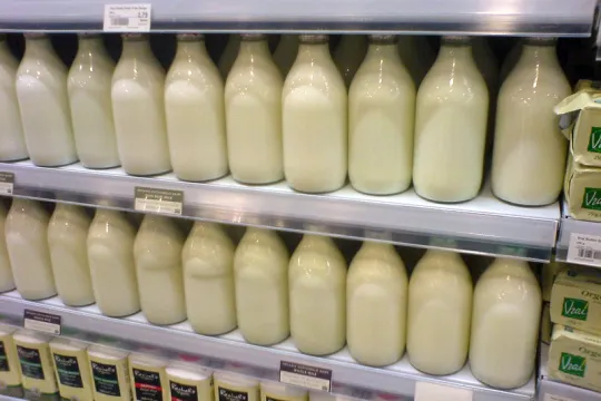 Twee koelvakrijen in een supermarkt zijn gevuld met glazen melkflessen zonder etiket.