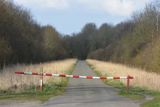 Een rood-witte barrière bakent een bosweg af. 