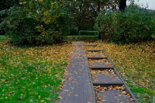 Autumn garden