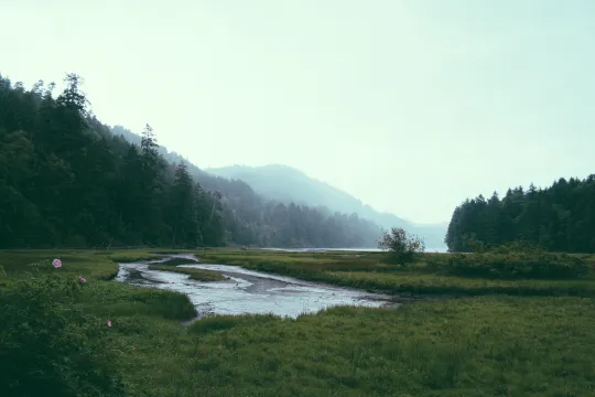 paul-jarvis-Cm7oKel-X2Q-unsplash