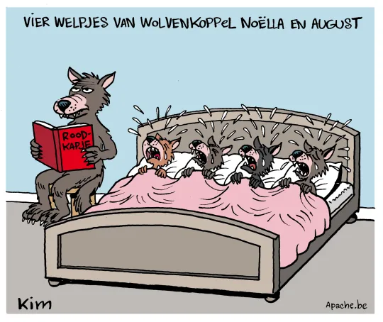 Roodkapje