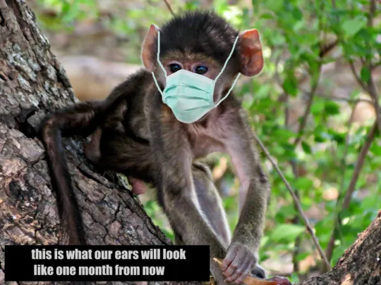 mask ears