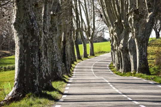 scenic route