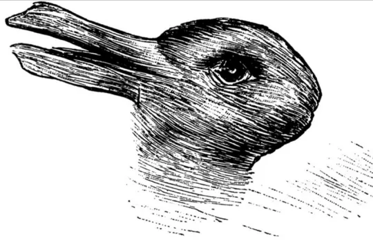 duckrabbit2