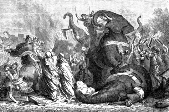 Pyrrhus