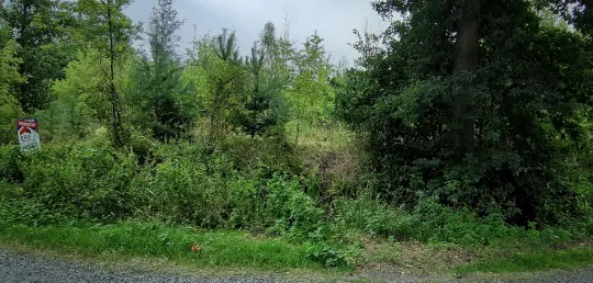stropersbos