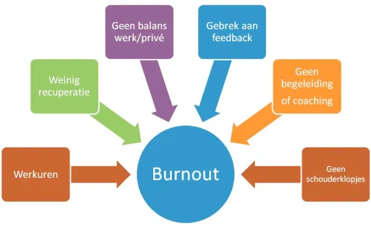 Risicofactoren voor burn-out die bij het gros van de starters voorkomen