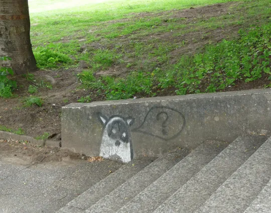 "Some confusion", le graffiti d'un animal se posant une question. (Photo: Anne-Lise Heinrichs/juin 2010/flickr)