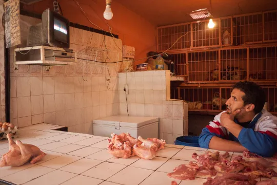Un marchand de volailles derrière son étale, Derb Marrakech. (Photo: Benoît Theunissen, 2012)