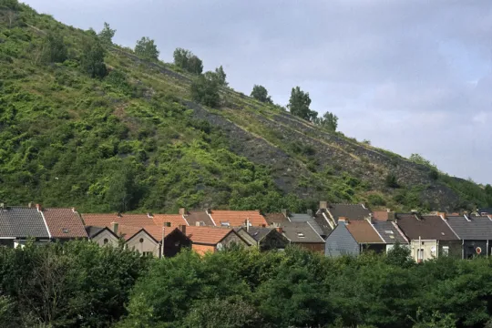Terril et maisons ouvrières, rue de Montigny, Châtelet, province du Hainaut. Belgique (Photo: Frédéric Lecloux/ Juillet 2010)