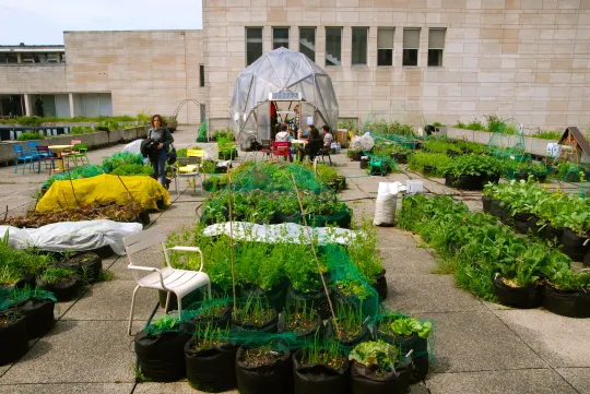 Potager urbain sur le toit de la Banque Nationale Bruxelles