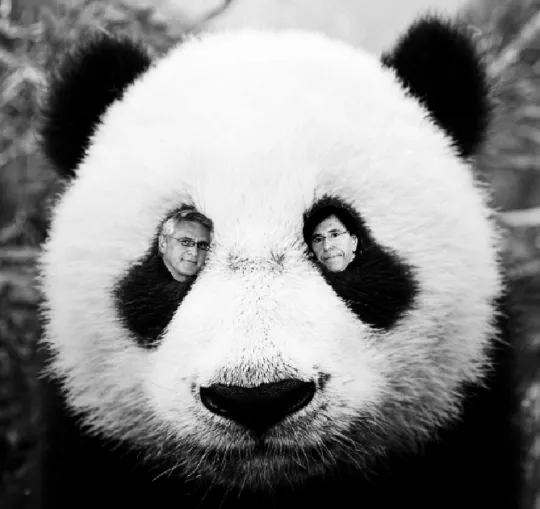 Reuzenpanda