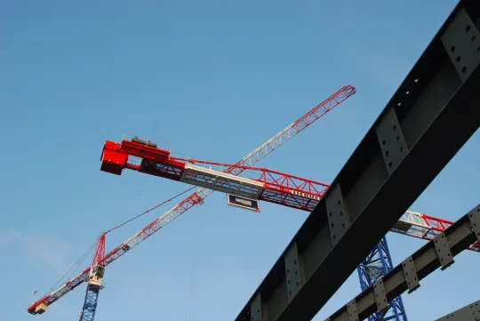 Des grues, Bruxelles (Photo: Solange De Mesmaeker)