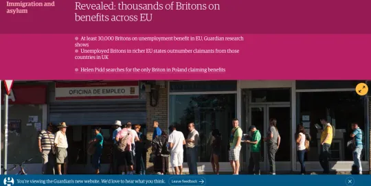 Screenshot The Guardian 19 jan 2015