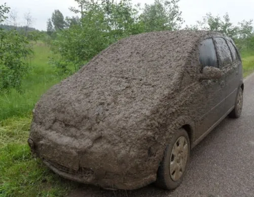 Dirtycar
