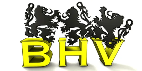 Vlaamse leeuwen