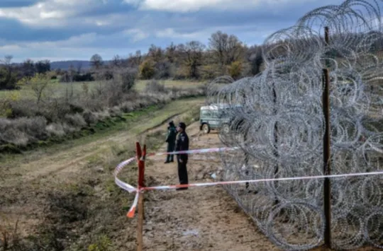 fence
