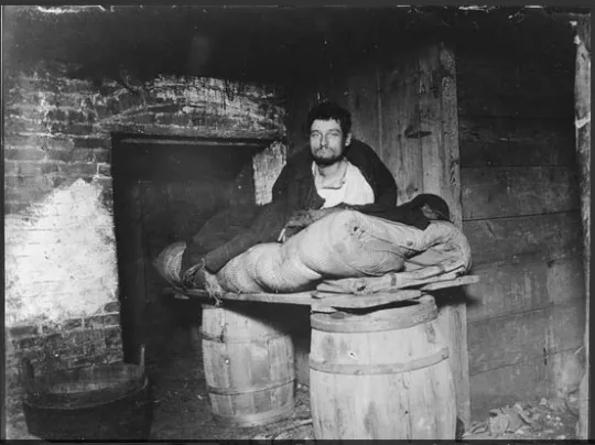 68_verbesselt_Jacob Riis