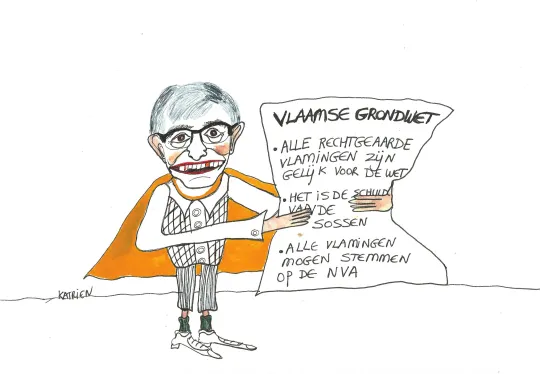 Vlaamse grondwet