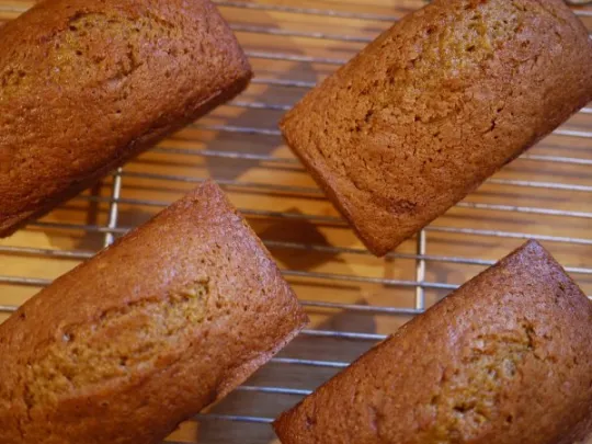 brood