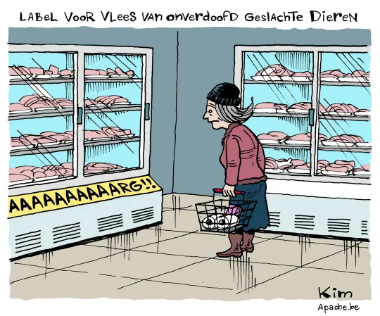 Onverdoofd geslacht