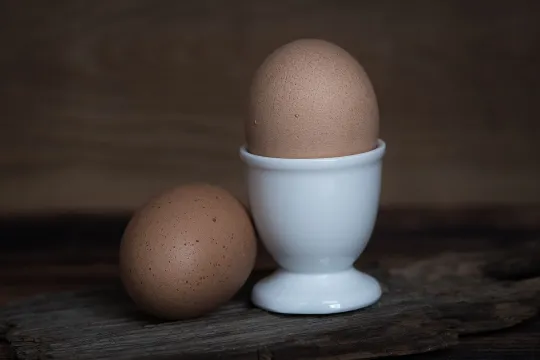 egg
