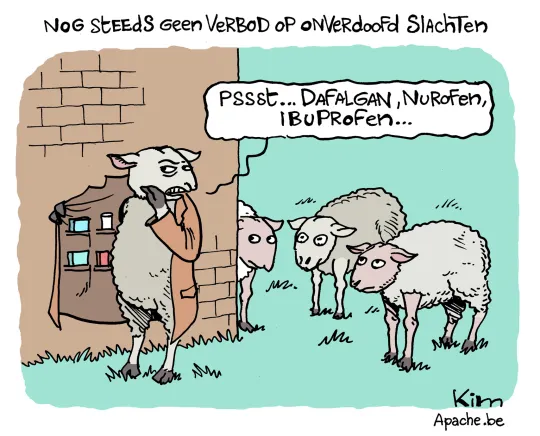 Wet onverdoofd slachten