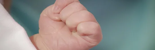fist