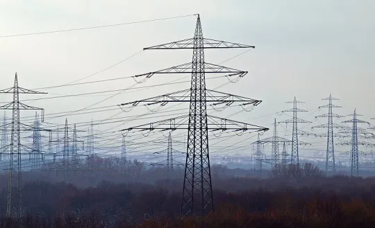 pylons