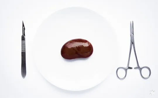 kidney