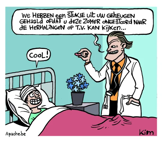 Geheugen