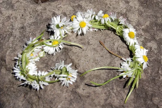 daisychain