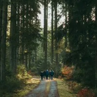 Een groep volwassenen loopt bij valavond op een weg die door het bos loopt.