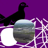 De Apache-duif heeft een eitje in haar nest waarin je een foto van een datacenter kan zien.